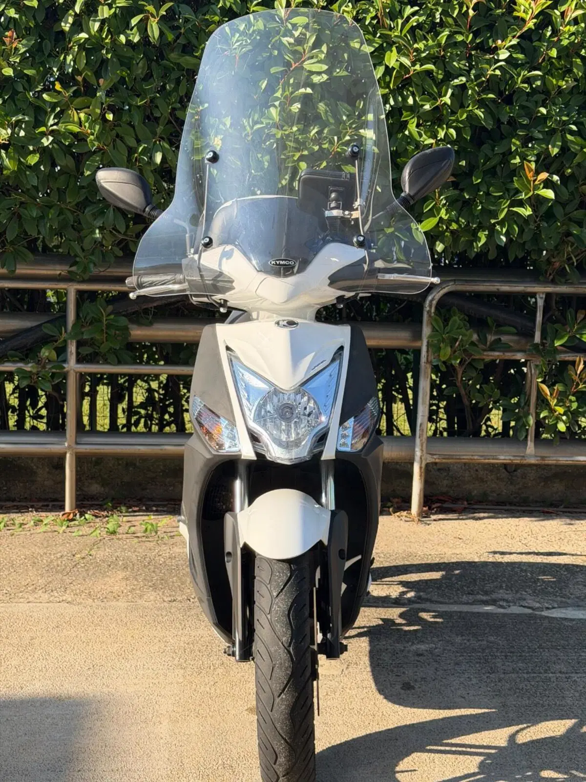Kymco Agility 50 R16 + (2008 - 18)