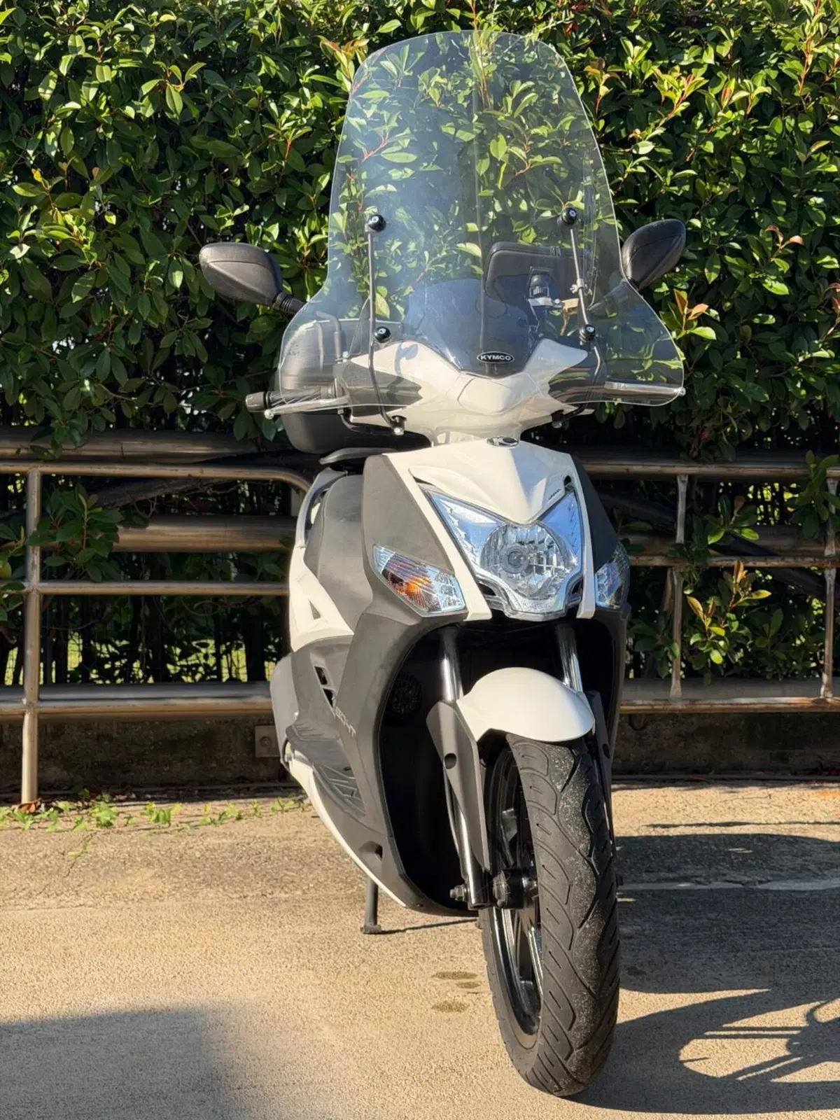 Kymco Agility 50 R16 + (2008 - 18) (2)