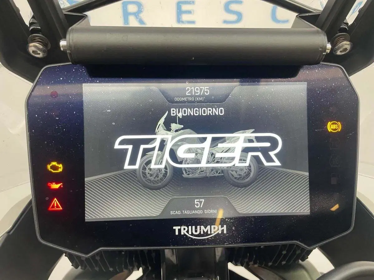 Triumph Tiger 900 Rally Pro (2020 - 23) (4)