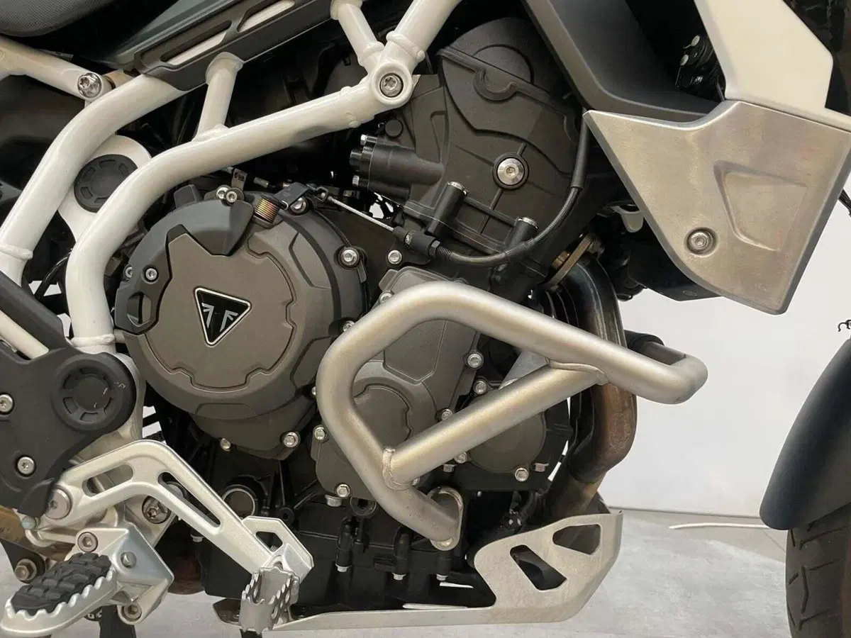 Triumph Tiger 900 Rally Pro (2020 - 23) (7)