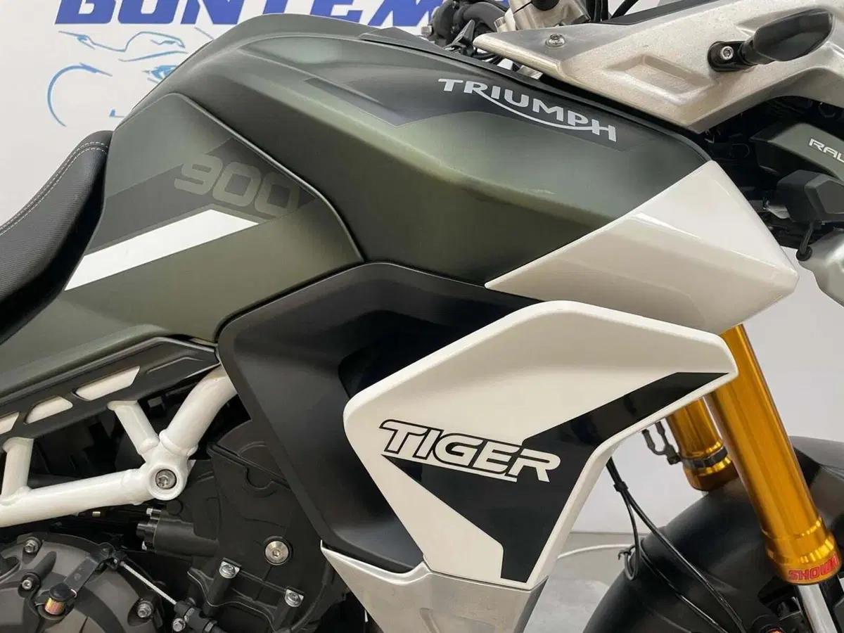 Triumph Tiger 900 Rally Pro (2020 - 23) (8)