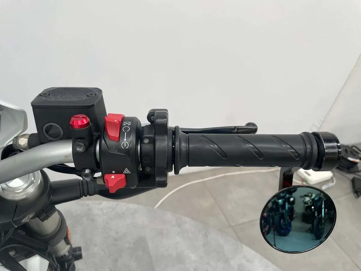 Ducati Monster 797 Plus (2019) (7)