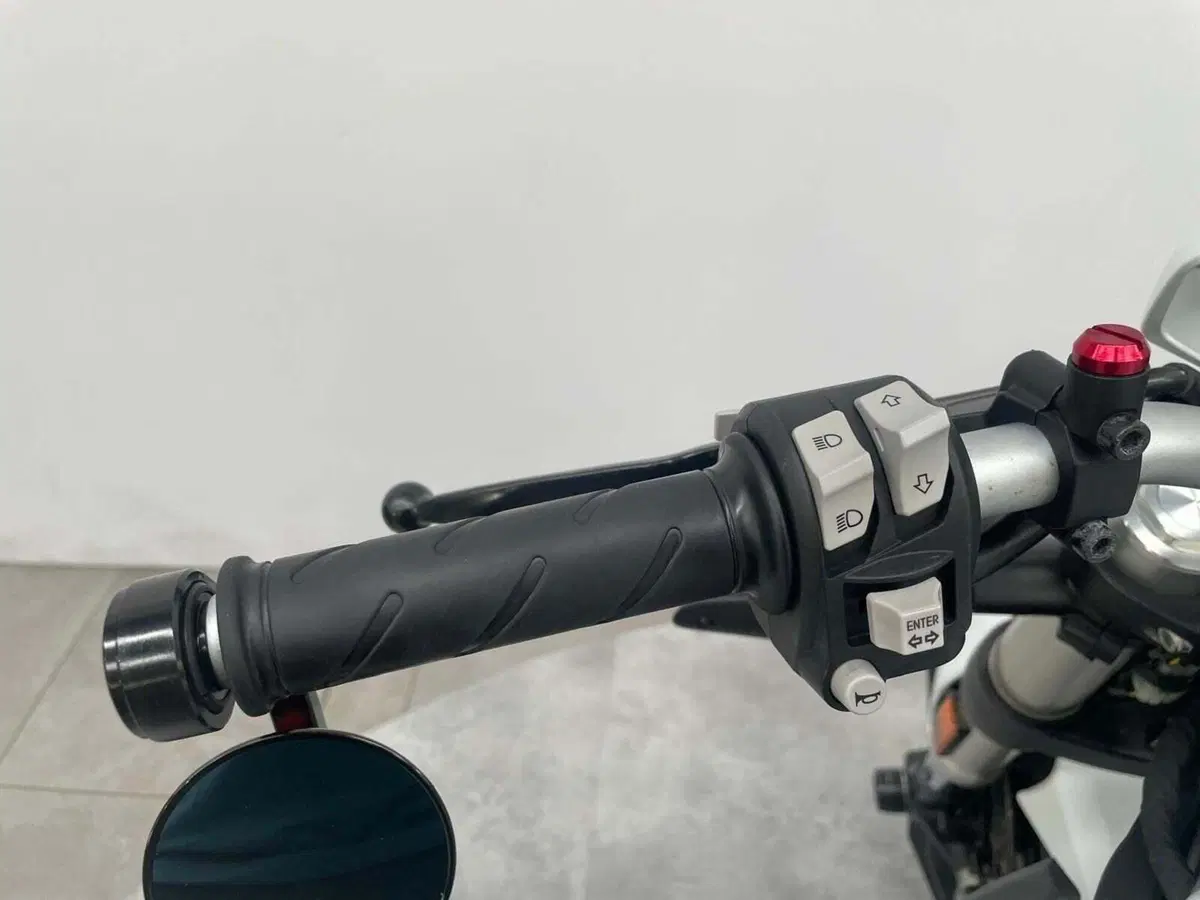 Ducati Monster 797 Plus (2019) (8)