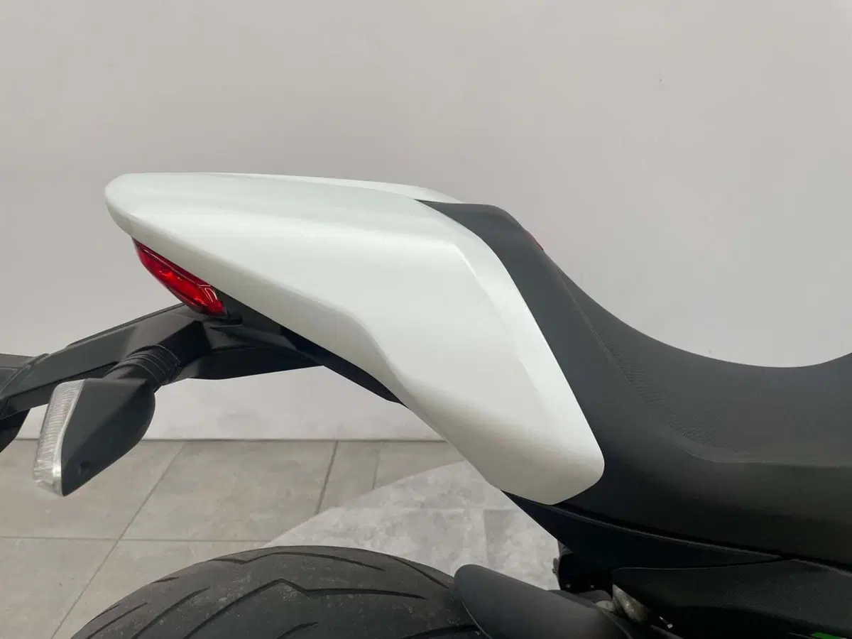 Ducati Monster 797 Plus (2019) (11)
