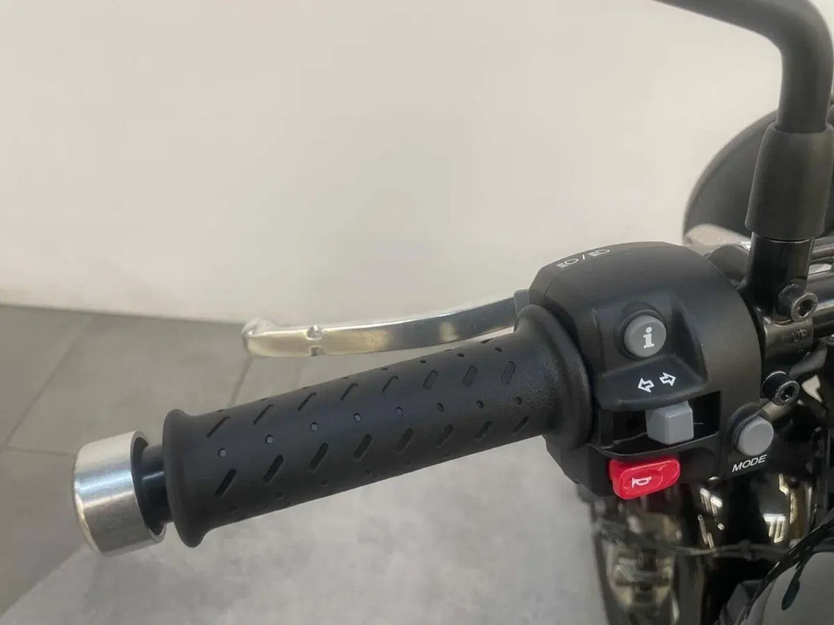 Triumph Speed Twin 900 (2023 - 24) (9)