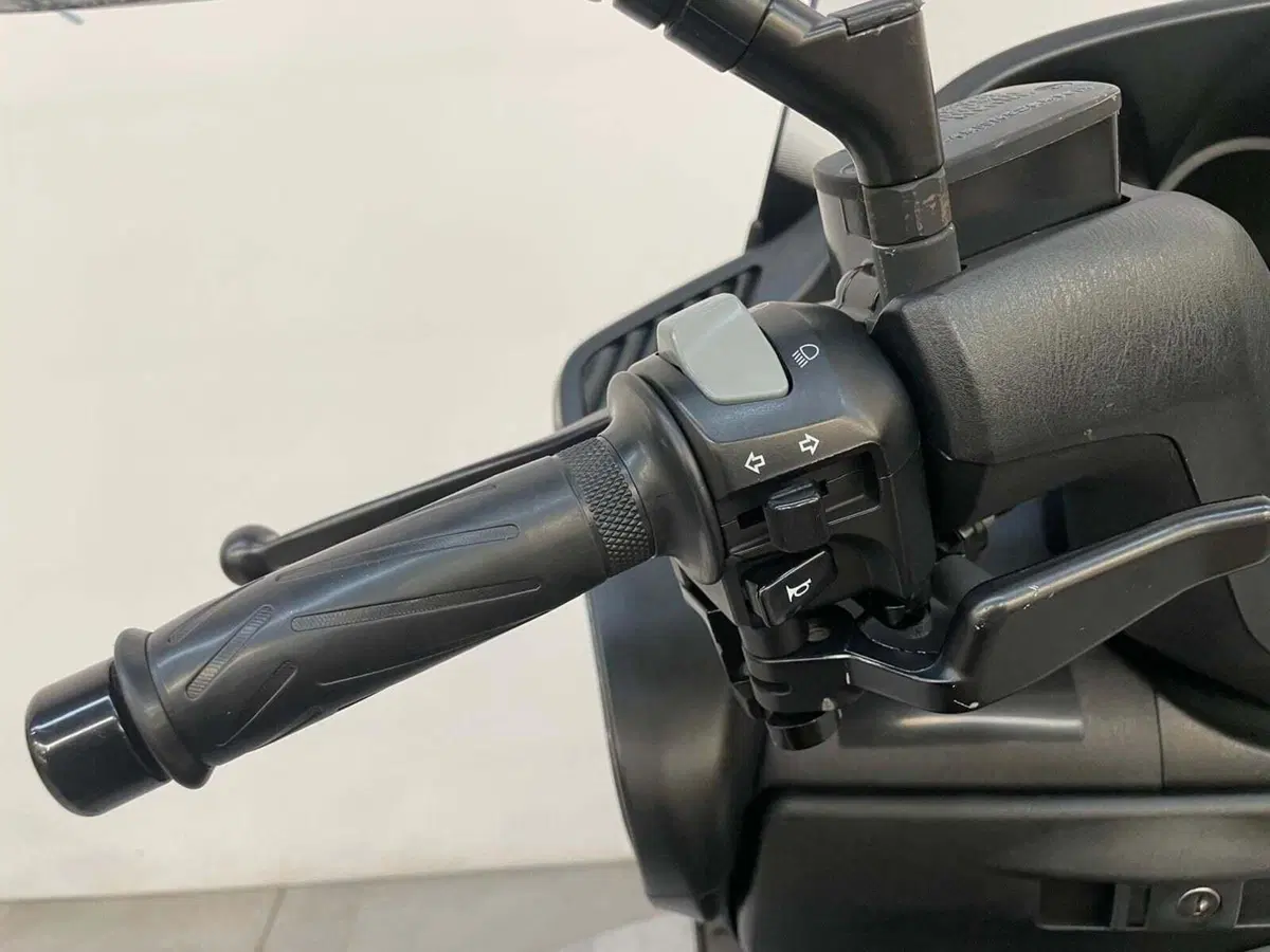 Yamaha Majesty 400 (2004 - 08) (9)