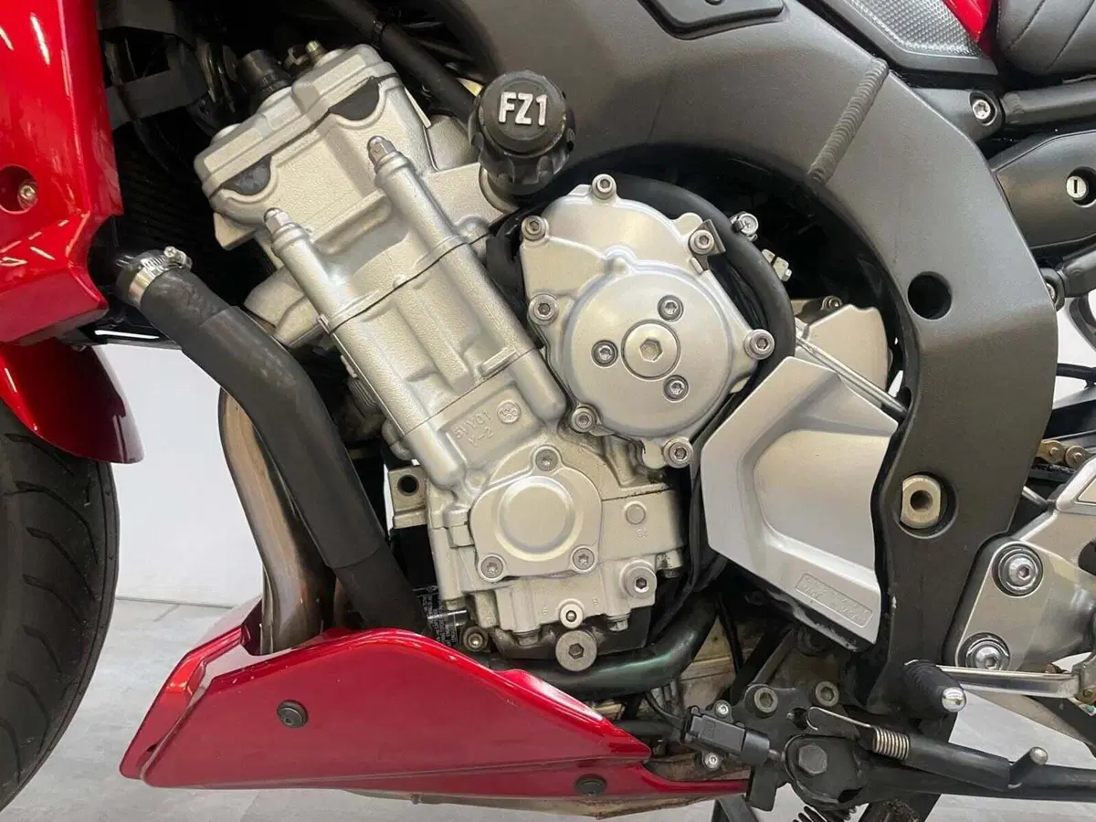 Yamaha FZ1 (2006 - 16) (10)