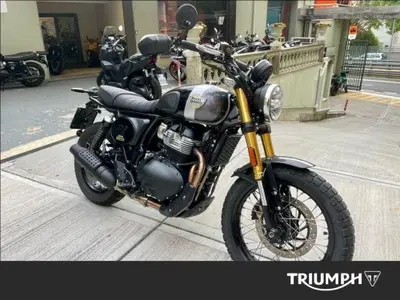 Royal Enfield Bear 650 (2025 - 26) usata