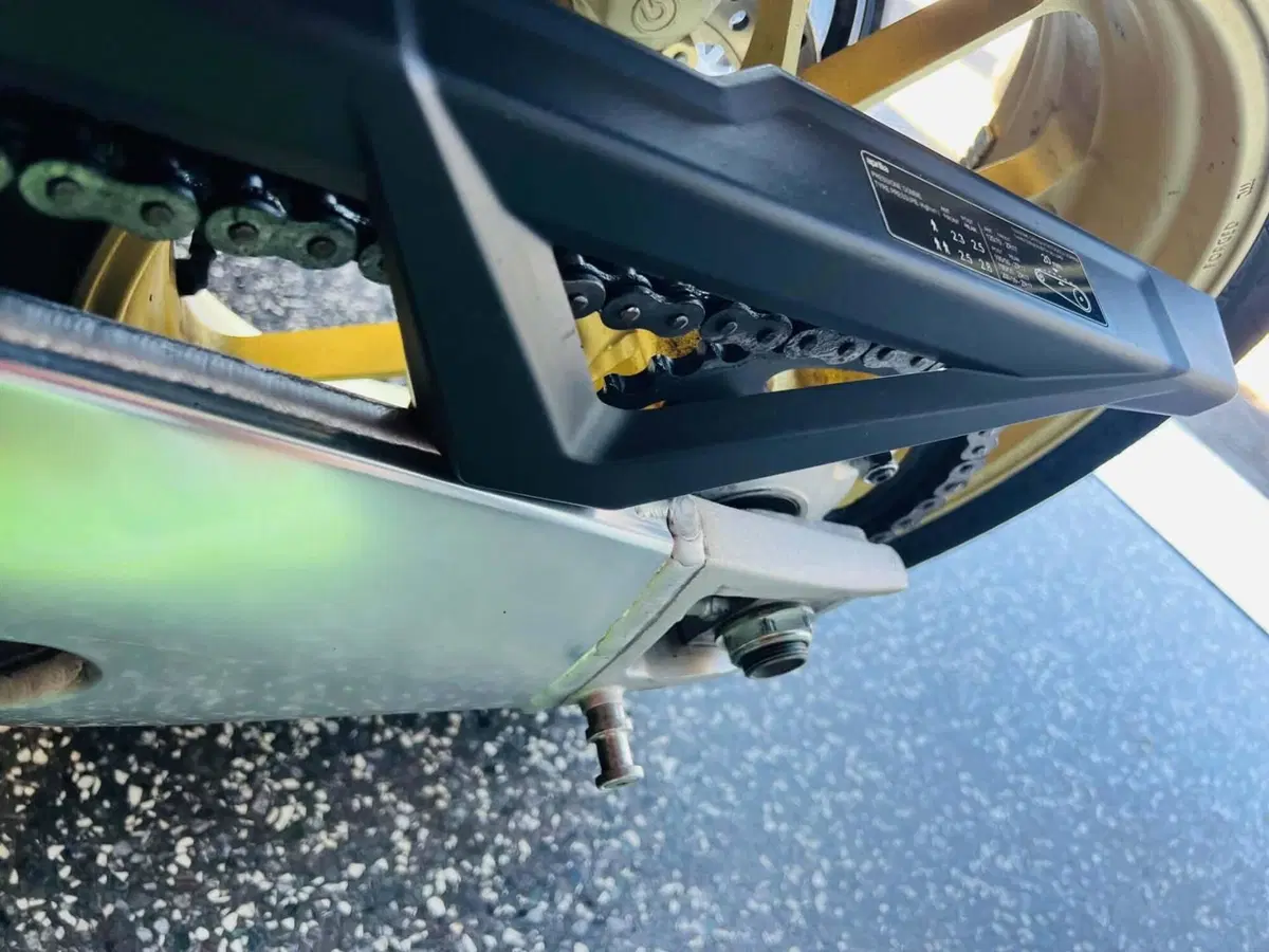 Aprilia RSV4 1100 Factory (2021 - 24) (17)
