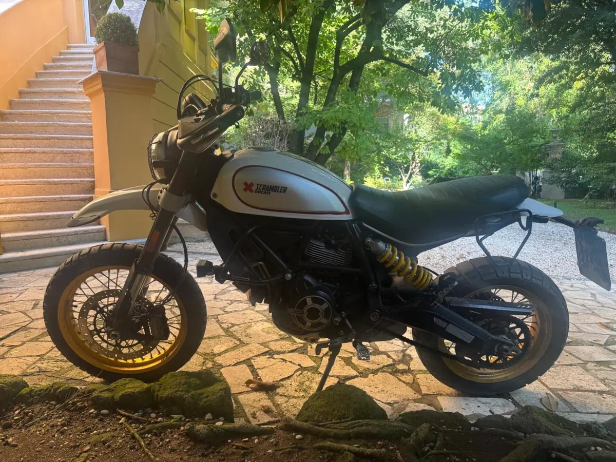 Ducati Scrambler 800 Desert Sled (2017 - 20) (2)