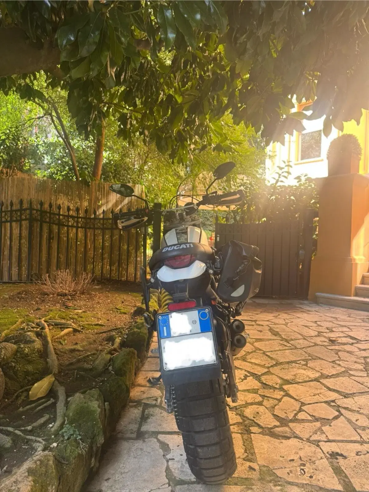 Ducati Scrambler 800 Desert Sled (2017 - 20) (3)