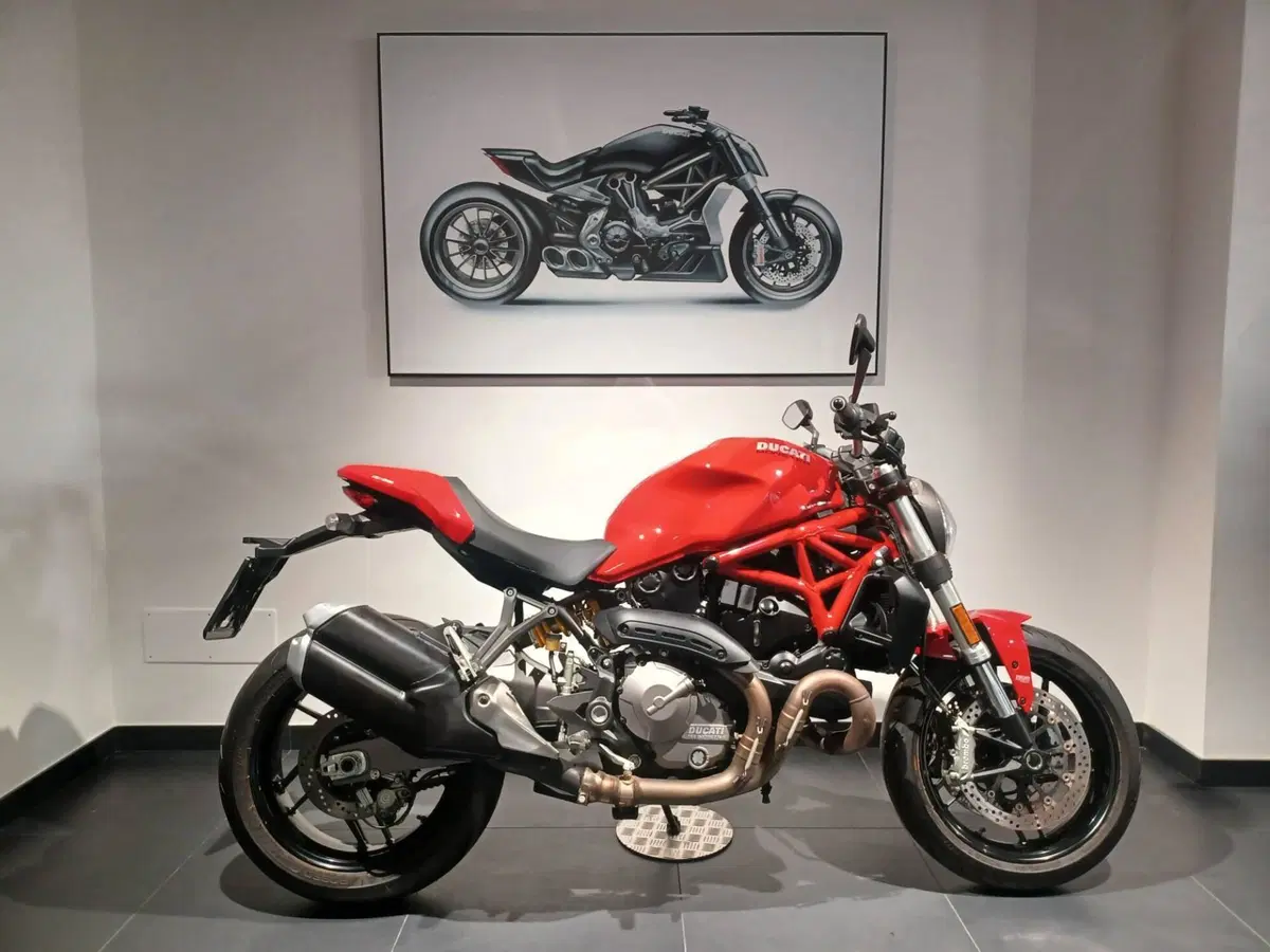 Ducati Monster 821 (2018 - 20)