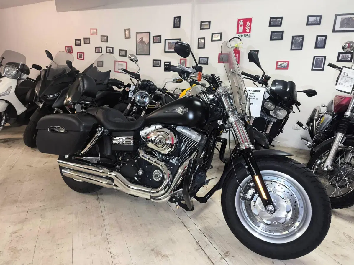 Harley-Davidson 1584 Fat Bob (2007 - 13) - FXDF (2)
