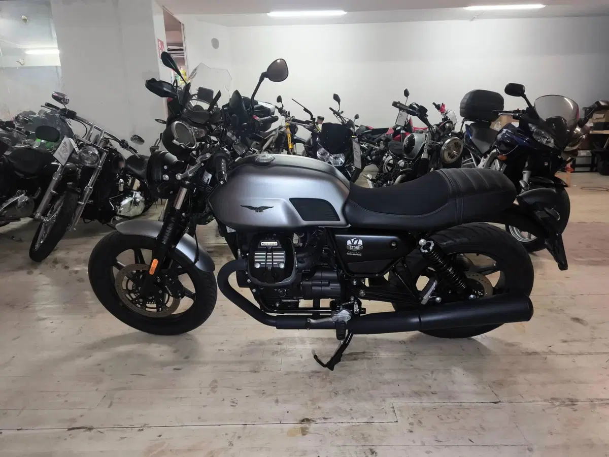 Moto Guzzi V7 Stone (2025 - 26) (4)