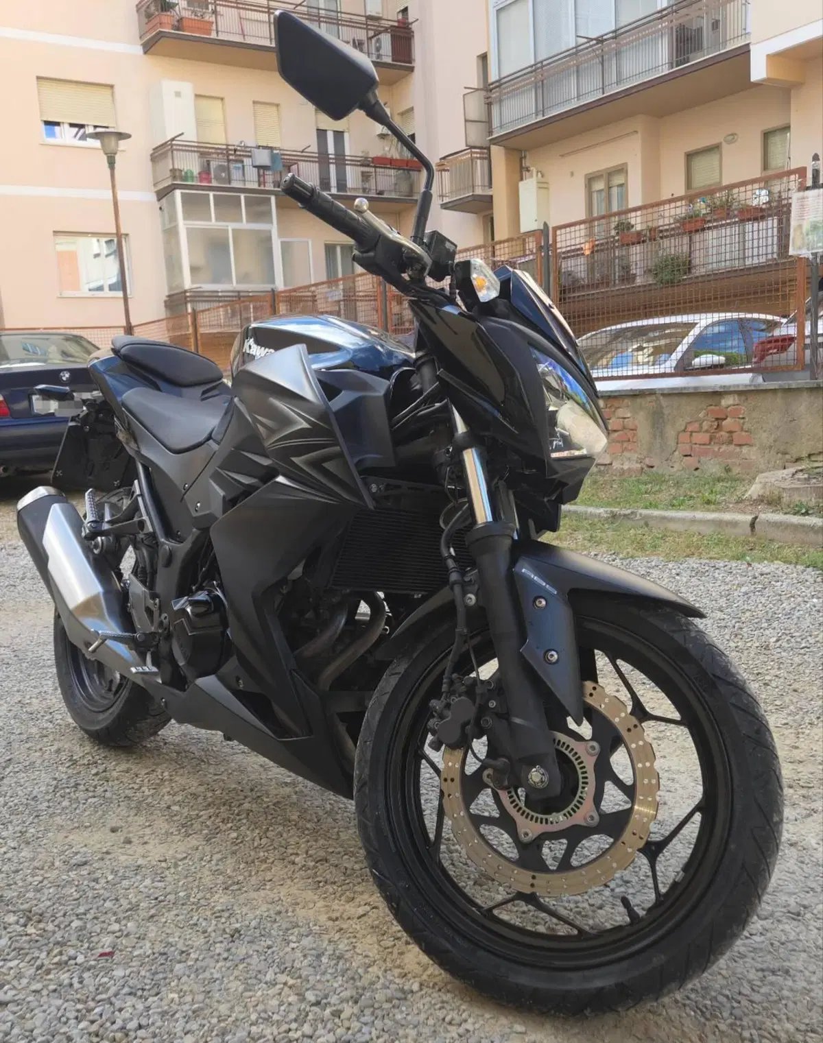 Kawasaki Z 300 ABS (2015 - 16) (2)