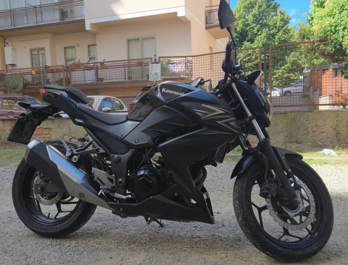 Kawasaki Z 300 ABS (2015 - 16) (3)
