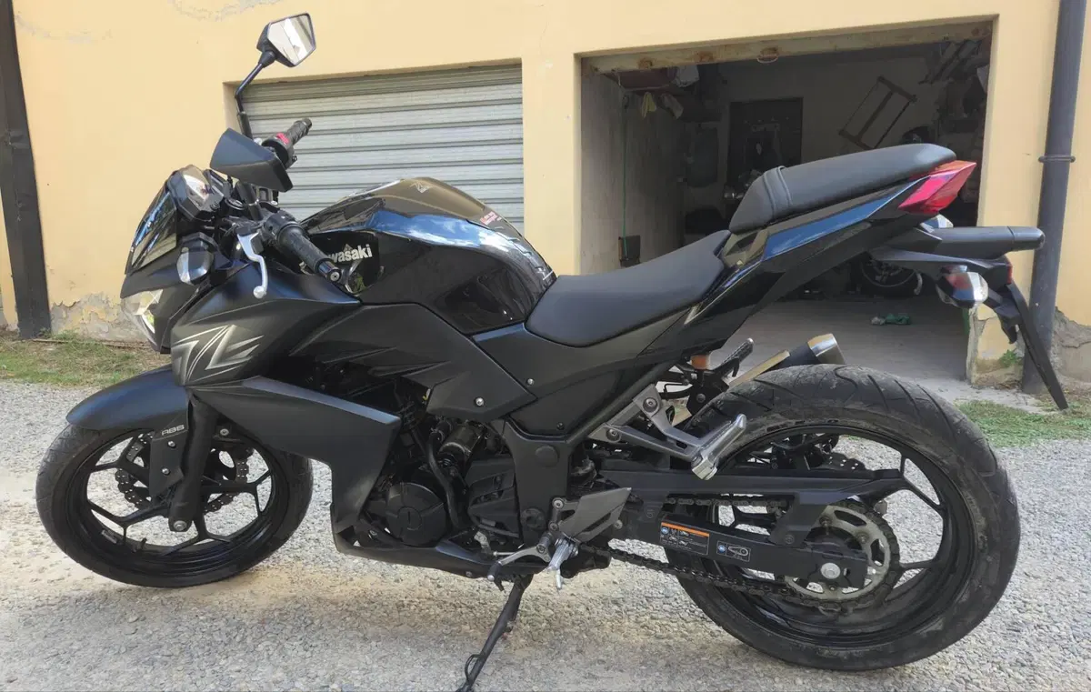 Kawasaki Z 300 ABS (2015 - 16) (4)
