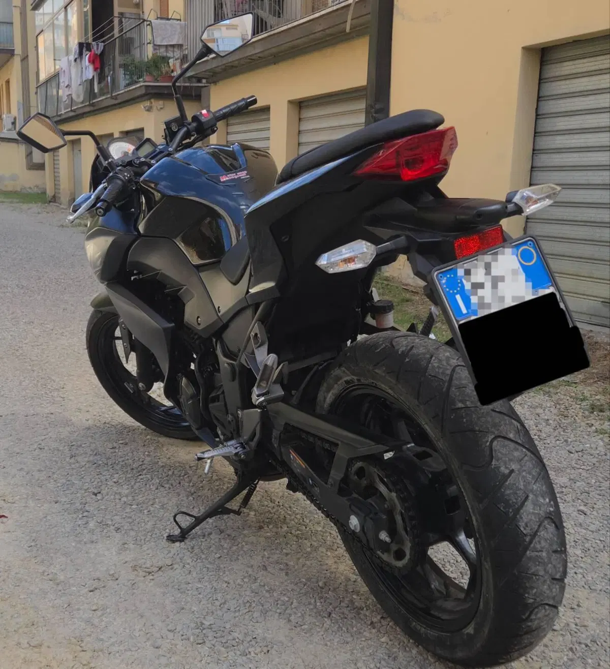 Kawasaki Z 300 ABS (2015 - 16) (5)