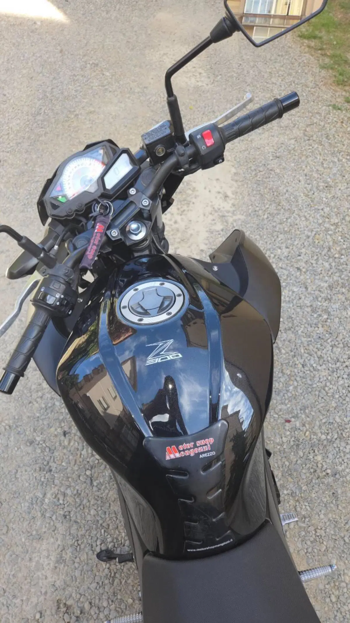 Kawasaki Z 300 ABS (2015 - 16) (6)