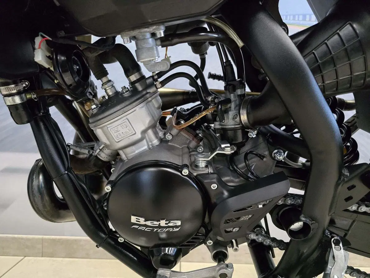 Betamotor RR 50 Motard (2021 - 26) (10)