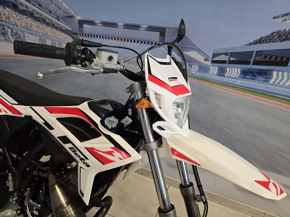 Betamotor RR 50 Motard (2021 - 26) (17)