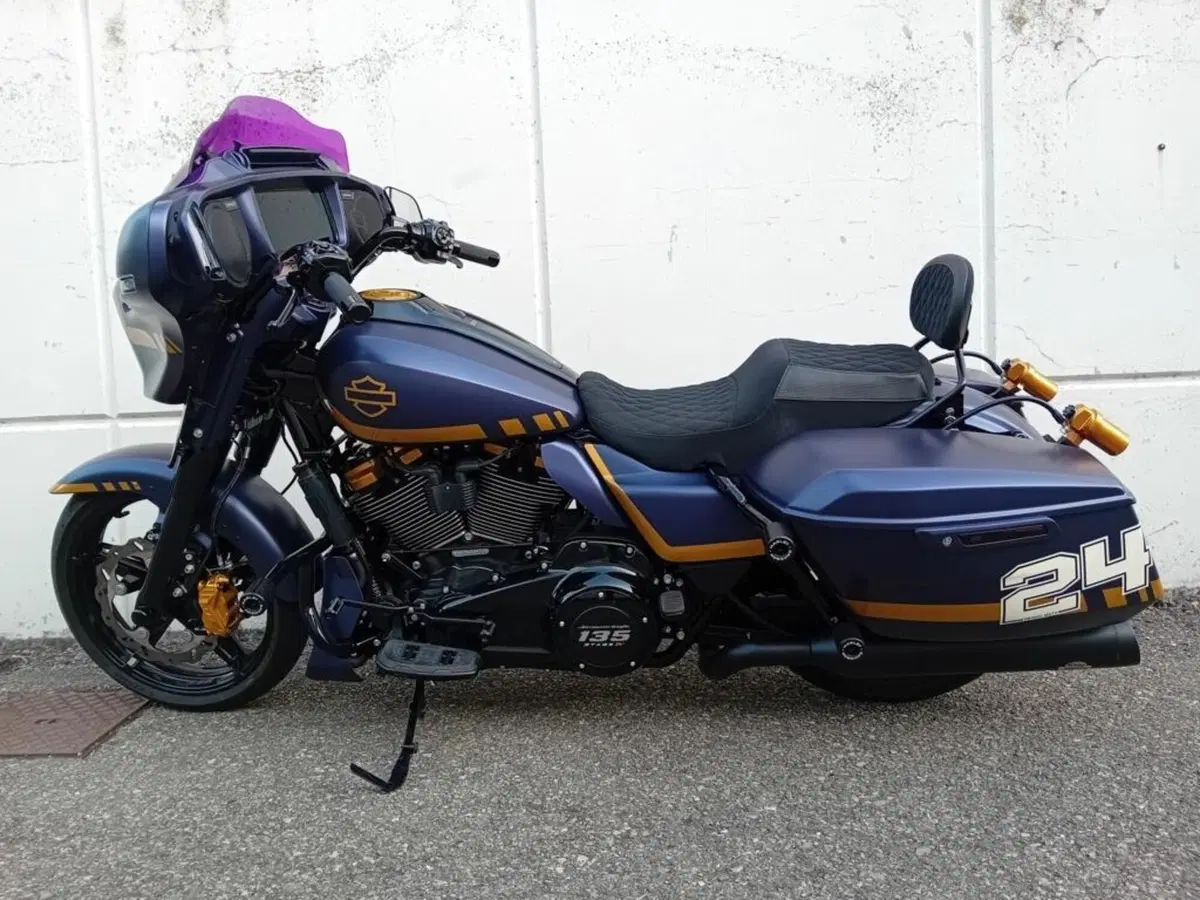 Harley-Davidson Street Glide (2024 - 26) (2)