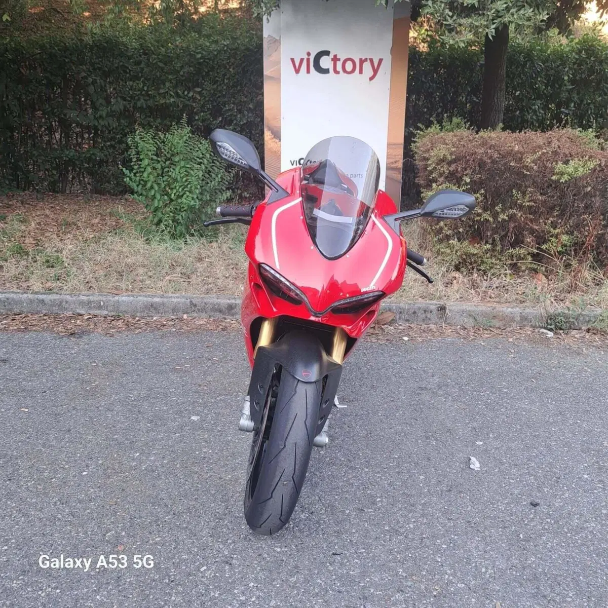 Ducati 1299 Panigale S (2015 - 18) (6)
