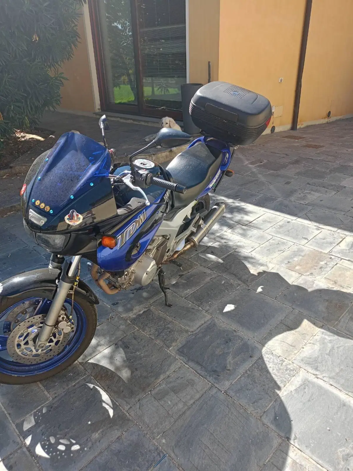 Yamaha TDM 850 (1996 - 01) (11)