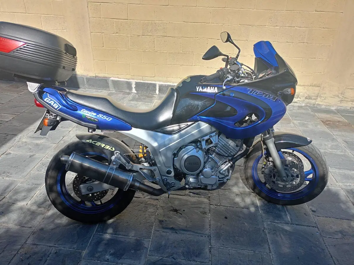 Yamaha TDM 850 (1996 - 01) (12)