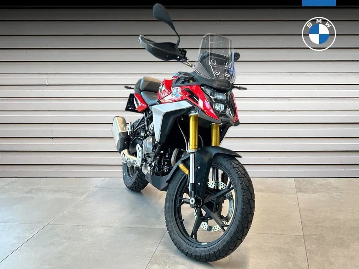 Bmw F 450 GS (2026)