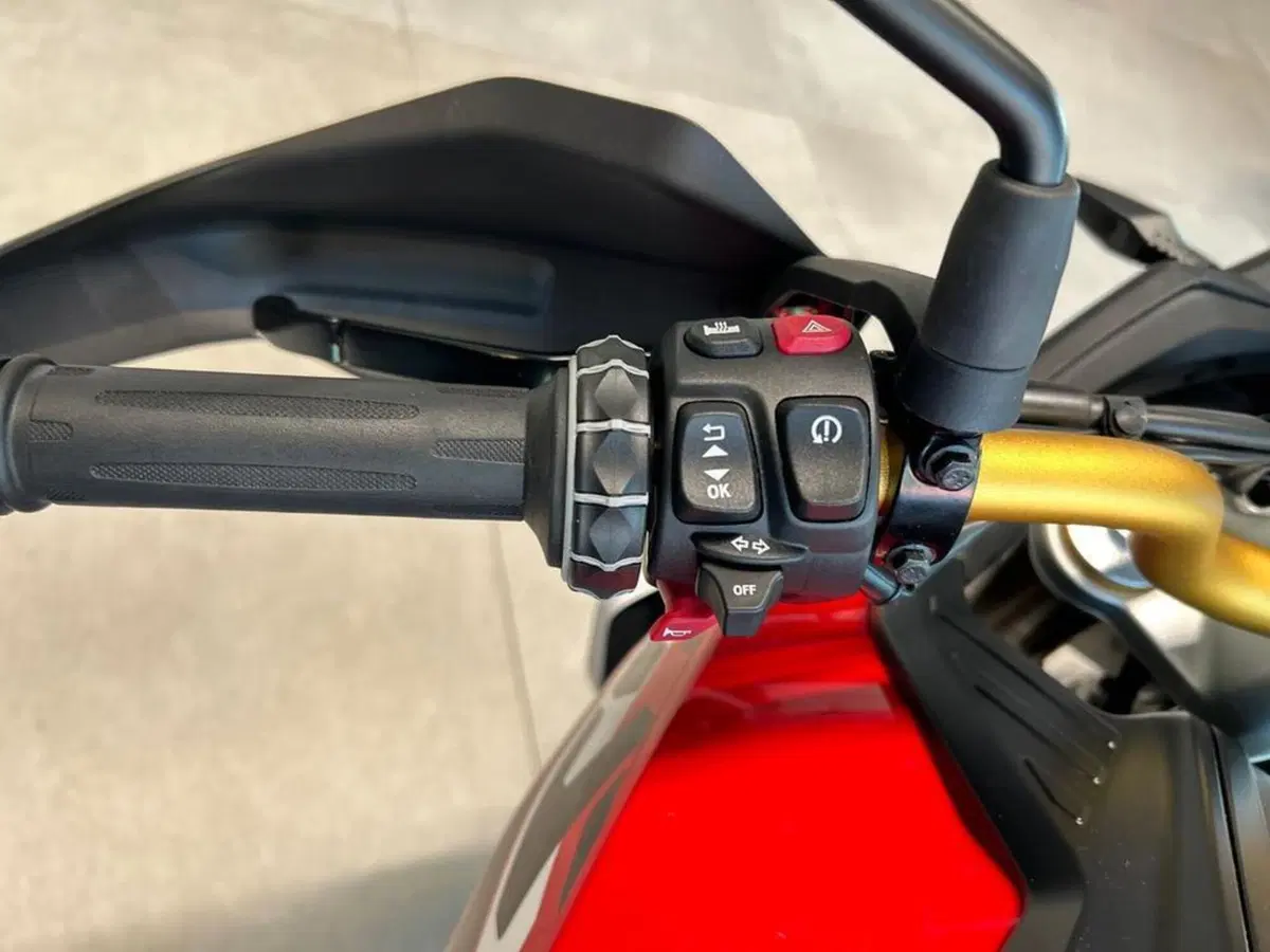 Bmw F 450 GS (2026) (7)