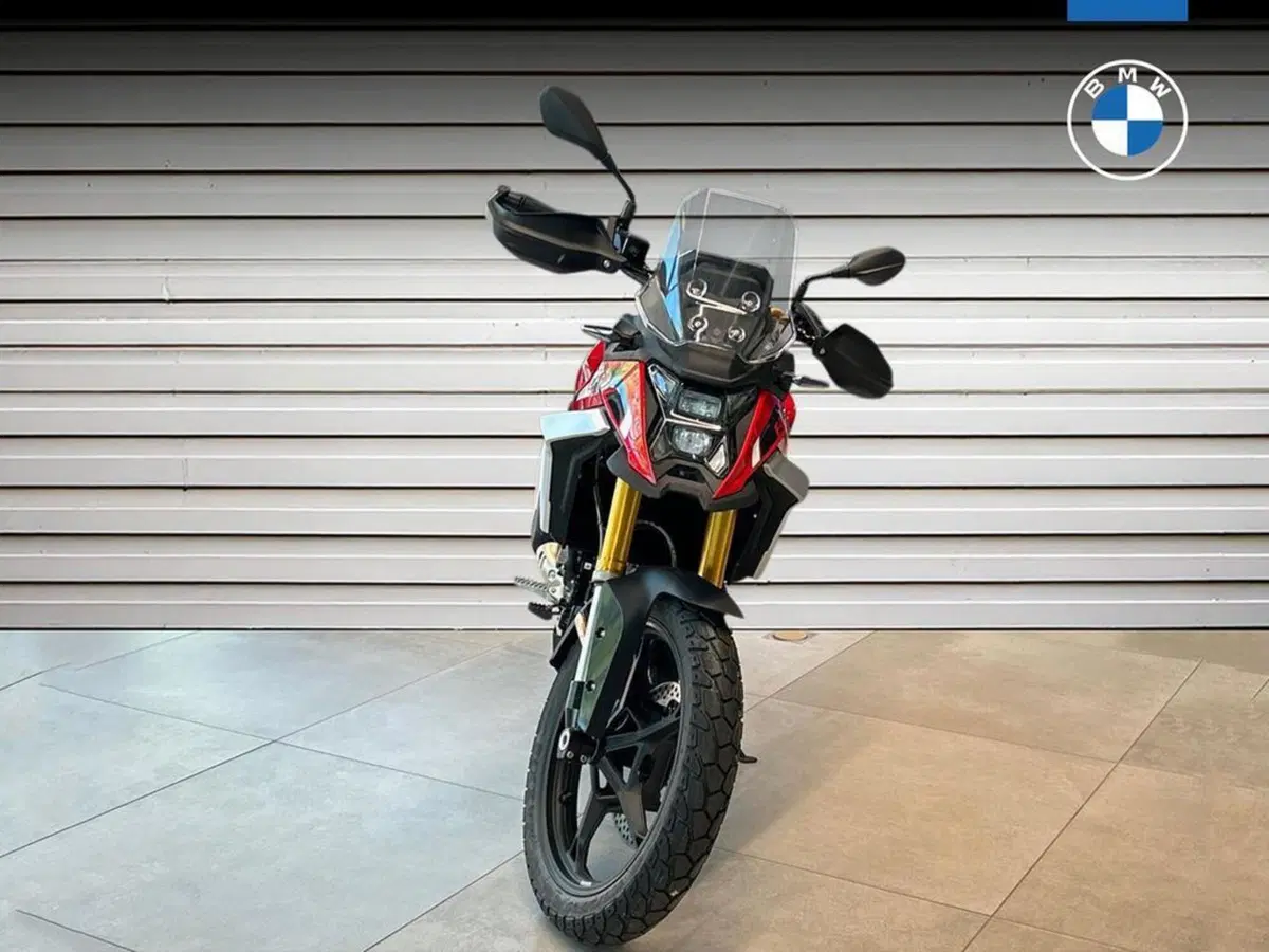 Bmw F 450 GS (2026) (2)