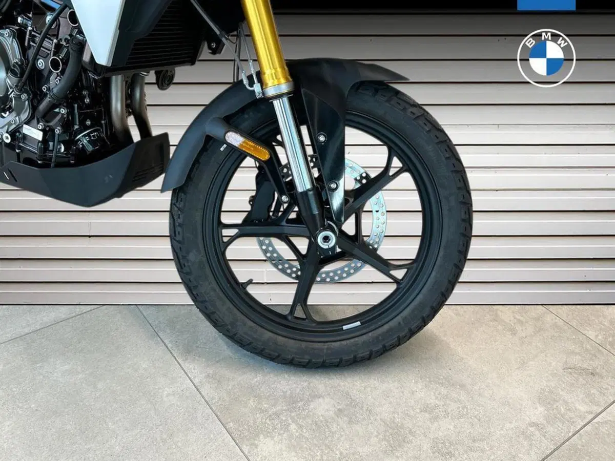 Bmw F 450 GS (2026) (14)