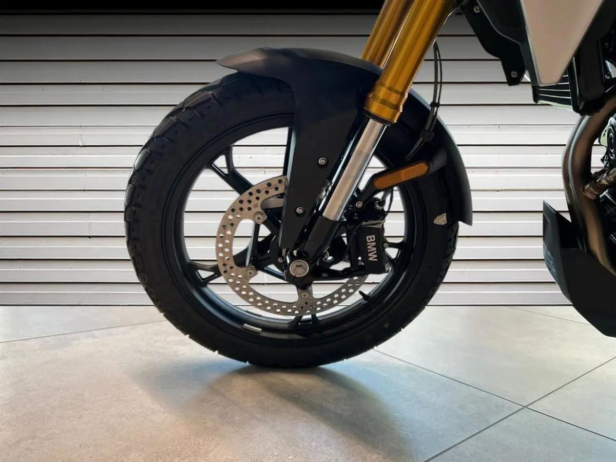 Bmw F 450 GS (2026) (15)