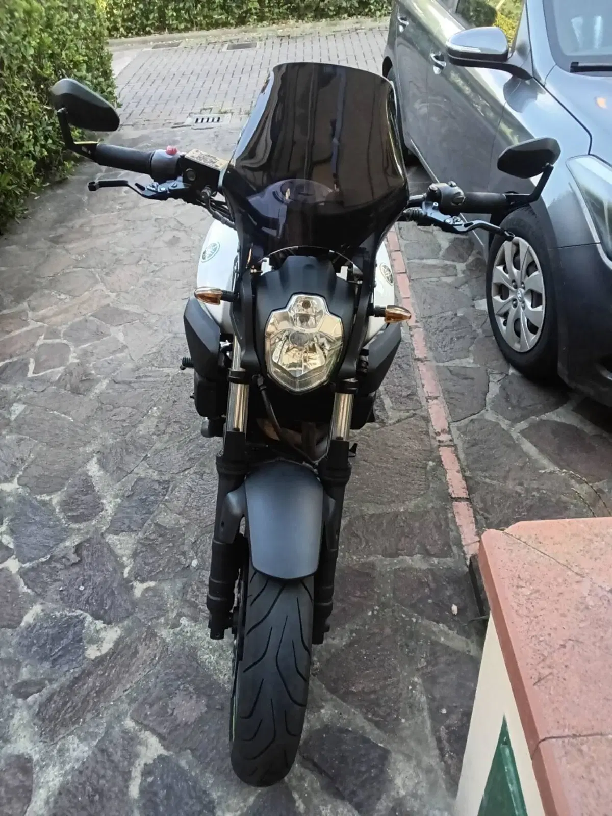 Yamaha MT-03 (2006 - 14) (2)