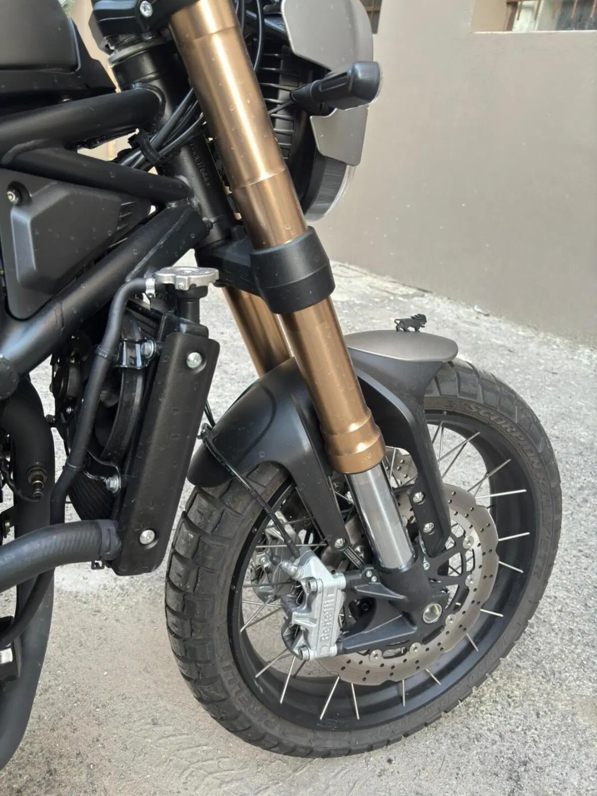 Benelli Leoncino 800 Trail (2022 - 26) (2)