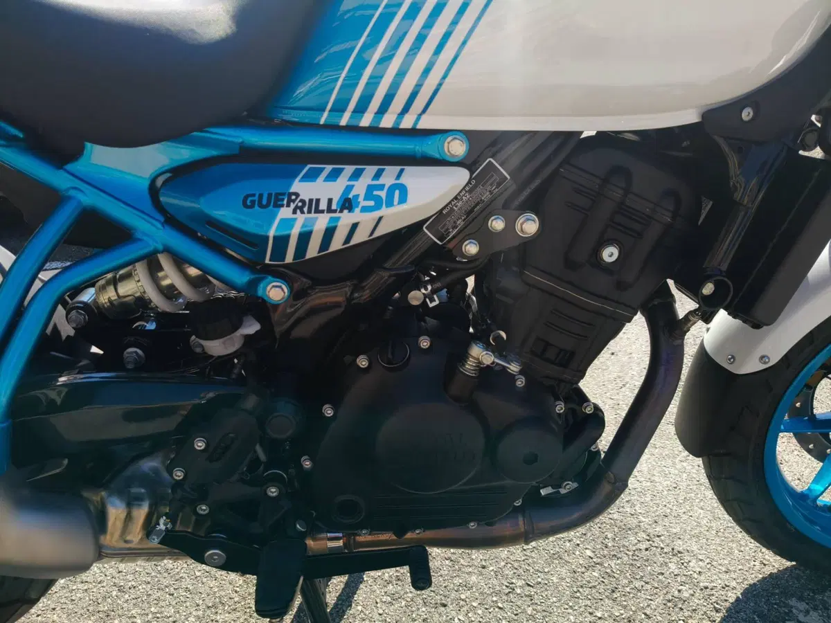 Royal Enfield Guerrilla 450 (2024 - 26) (6)