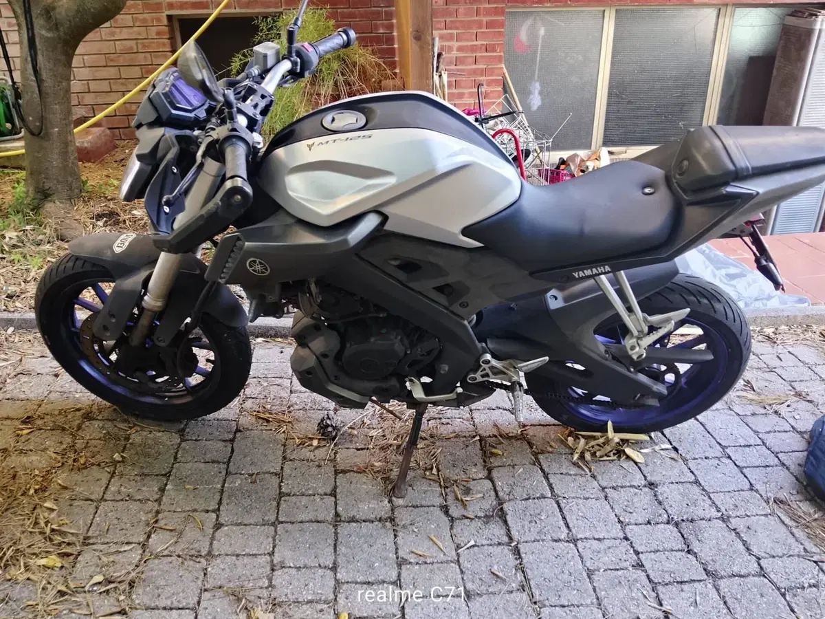Yamaha MT-125 ABS (2015 - 16)