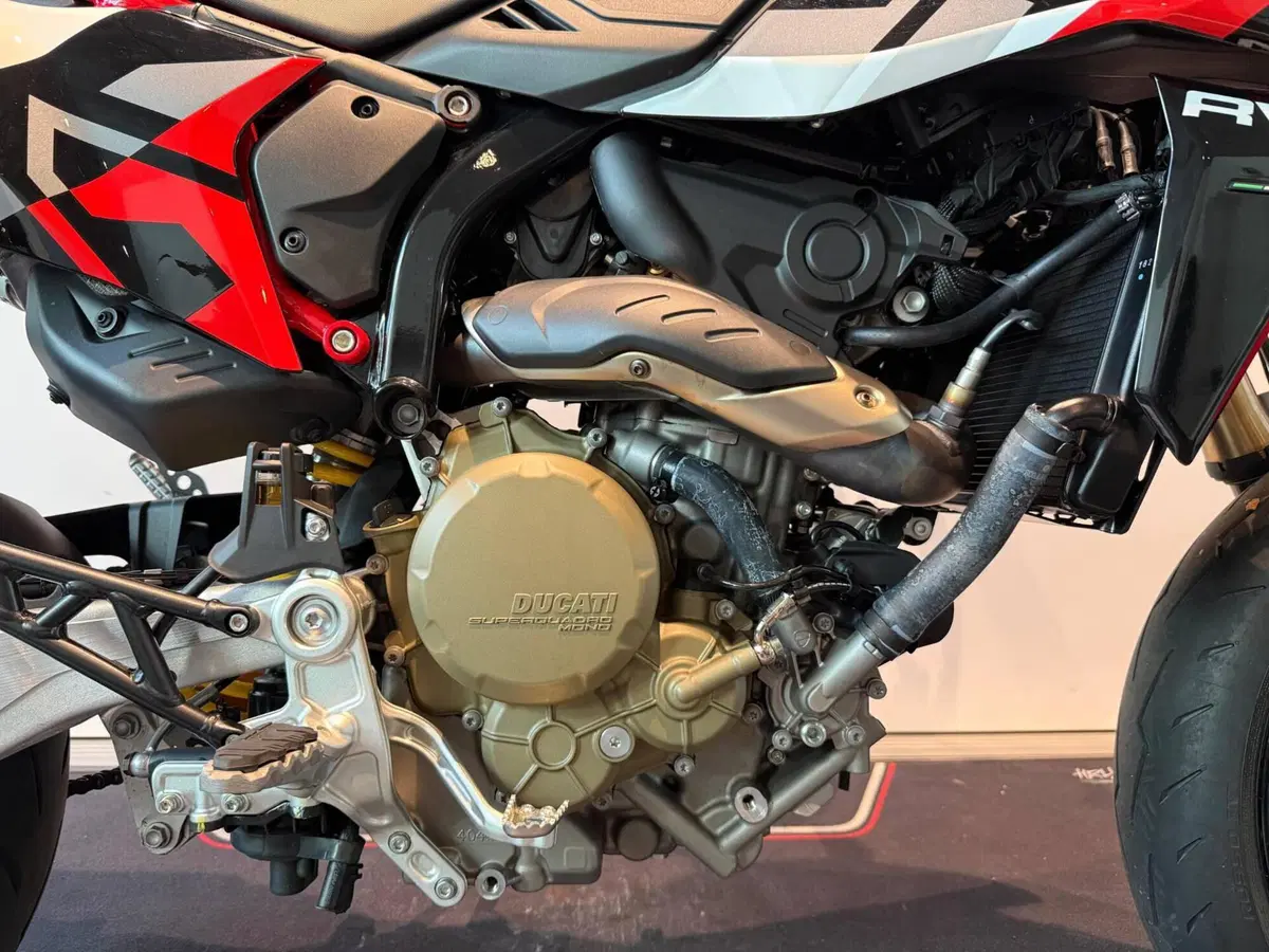 Ducati Hypermotard 698 Mono RVE (2024 - 26) (4)