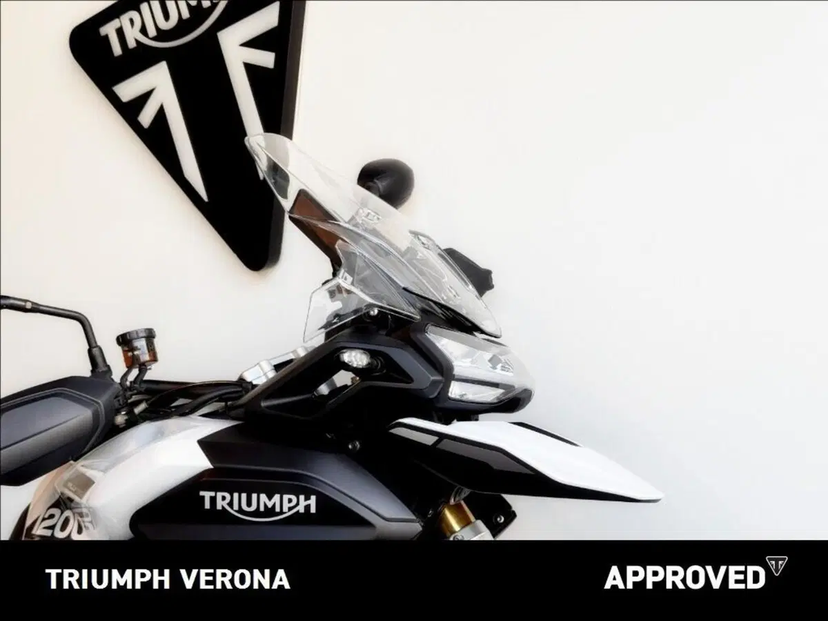 Triumph Tiger 1200 Rally Pro (2022 - 23) (2)
