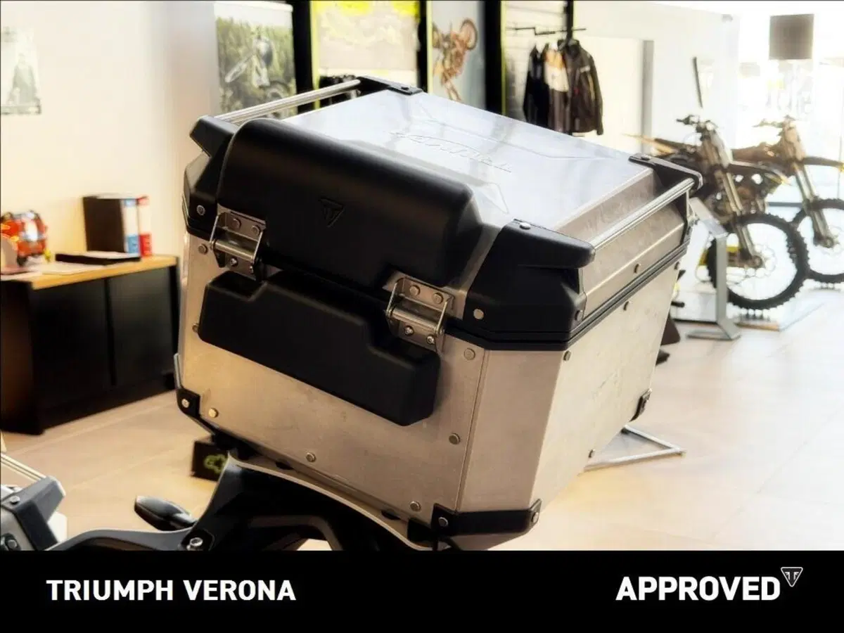 Triumph Tiger 1200 Rally Pro (2022 - 23) (6)