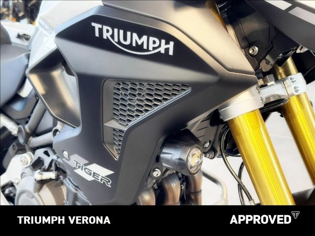Triumph Tiger 1200 Rally Pro (2022 - 23) (8)