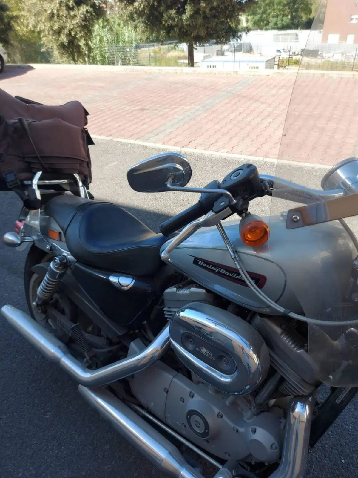Harley-Davidson 883 Custom (2008 - 12) - XL 883C (6)