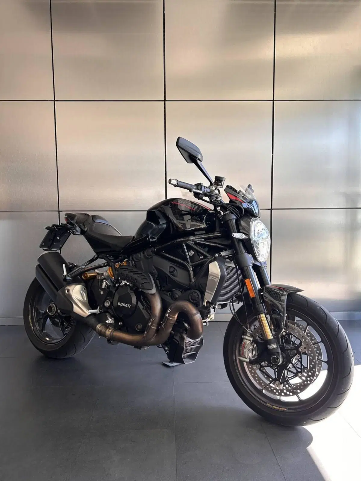 Ducati Monster 1200 R (2016 - 19) (2)