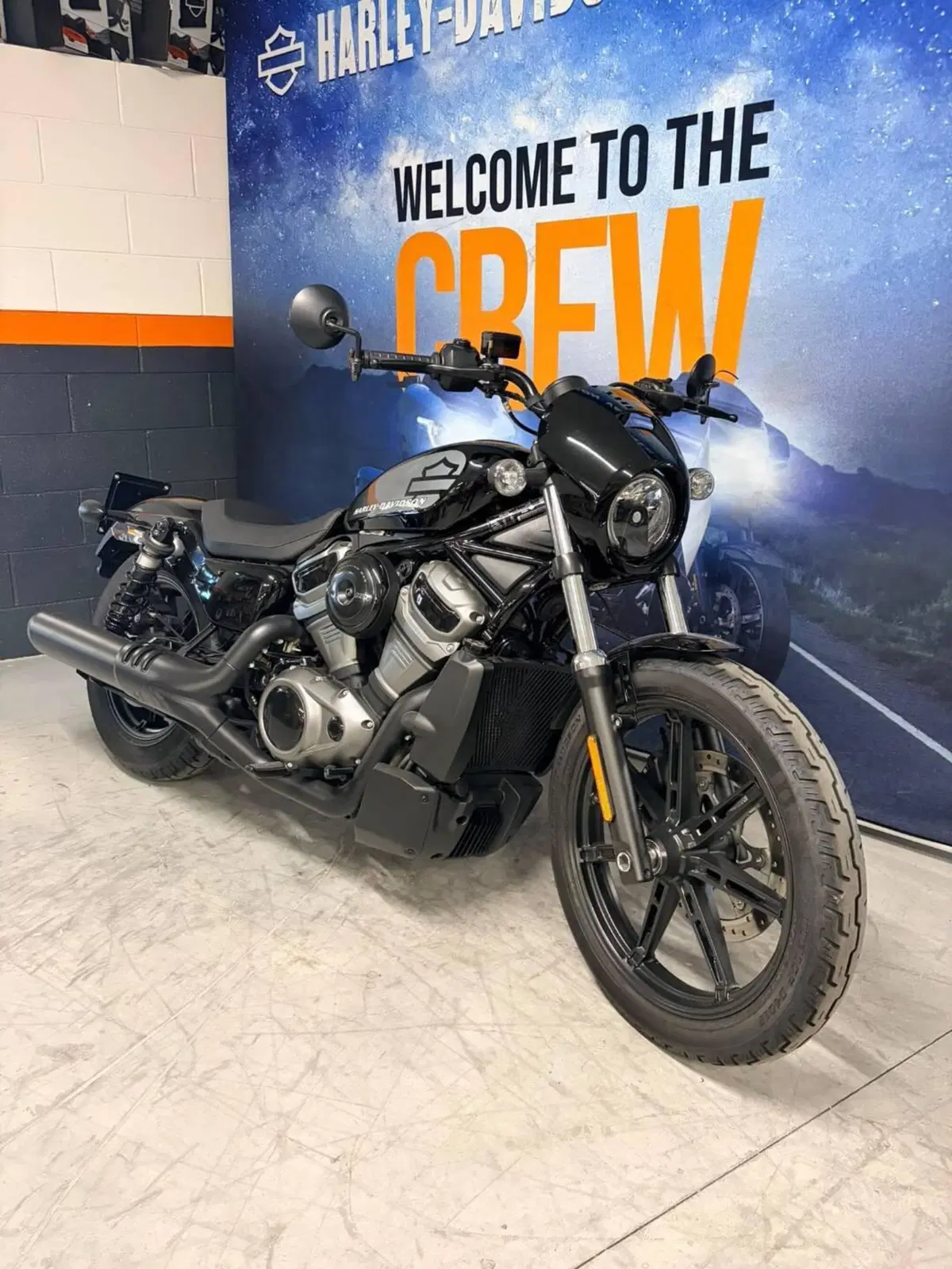 Harley-Davidson Nightster (2023 - 26) (2)