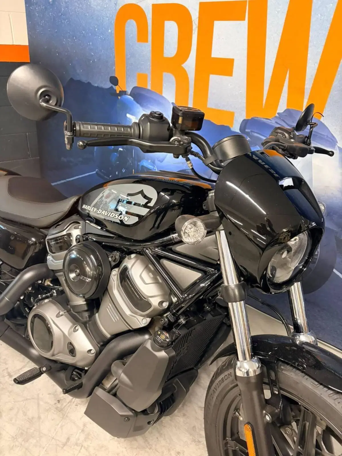 Harley-Davidson Nightster (2023 - 26) (3)