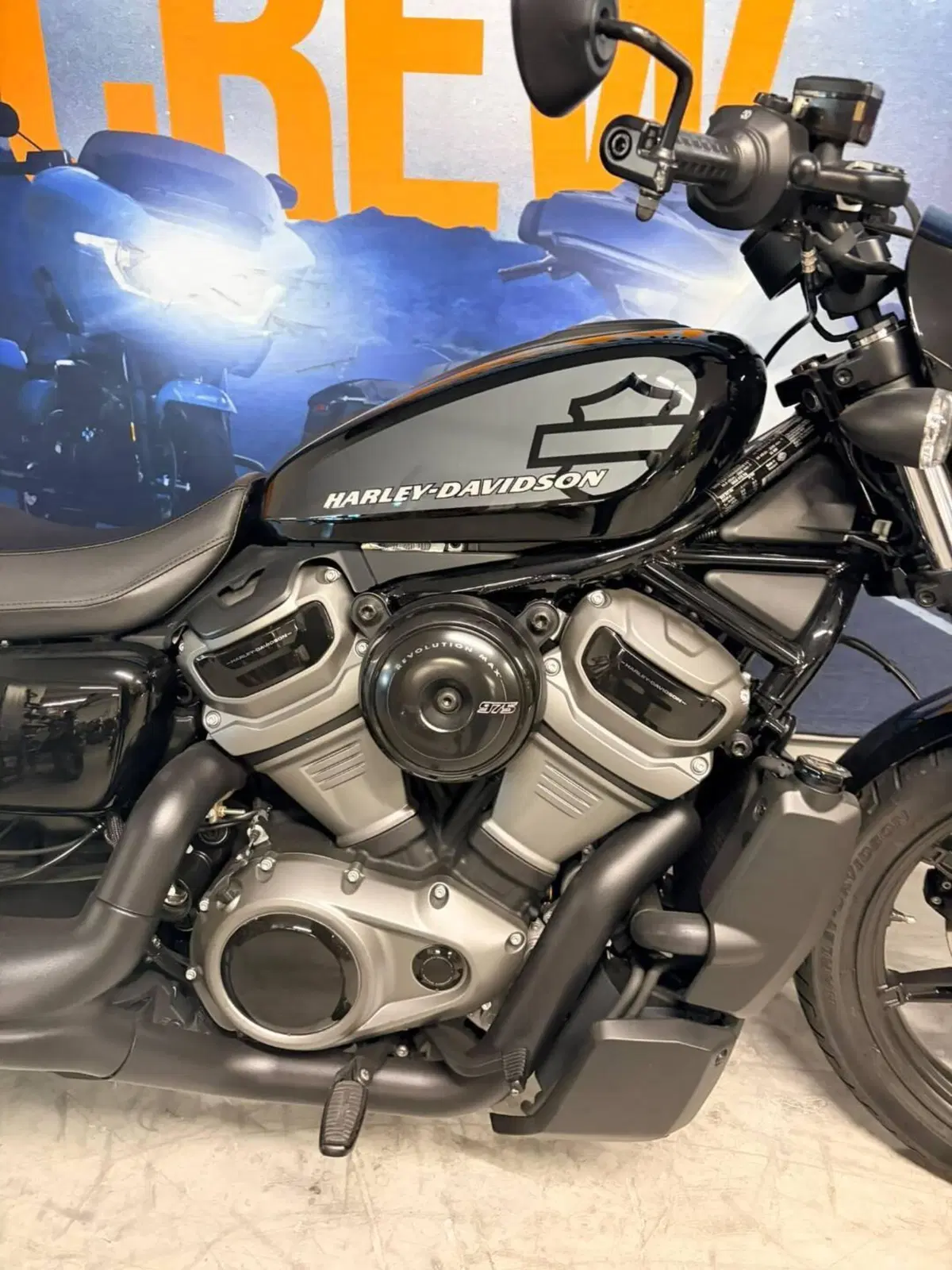 Harley-Davidson Nightster (2023 - 26) (4)