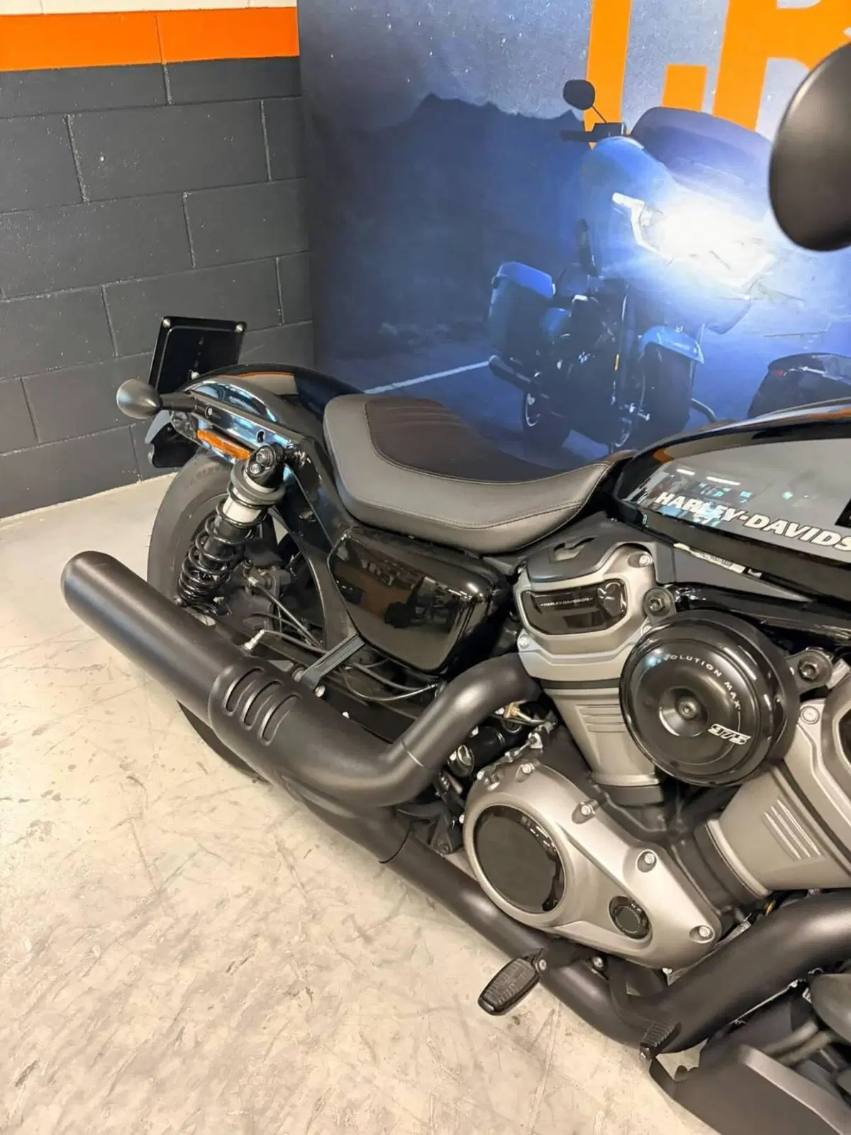 Harley-Davidson Nightster (2023 - 26) (5)