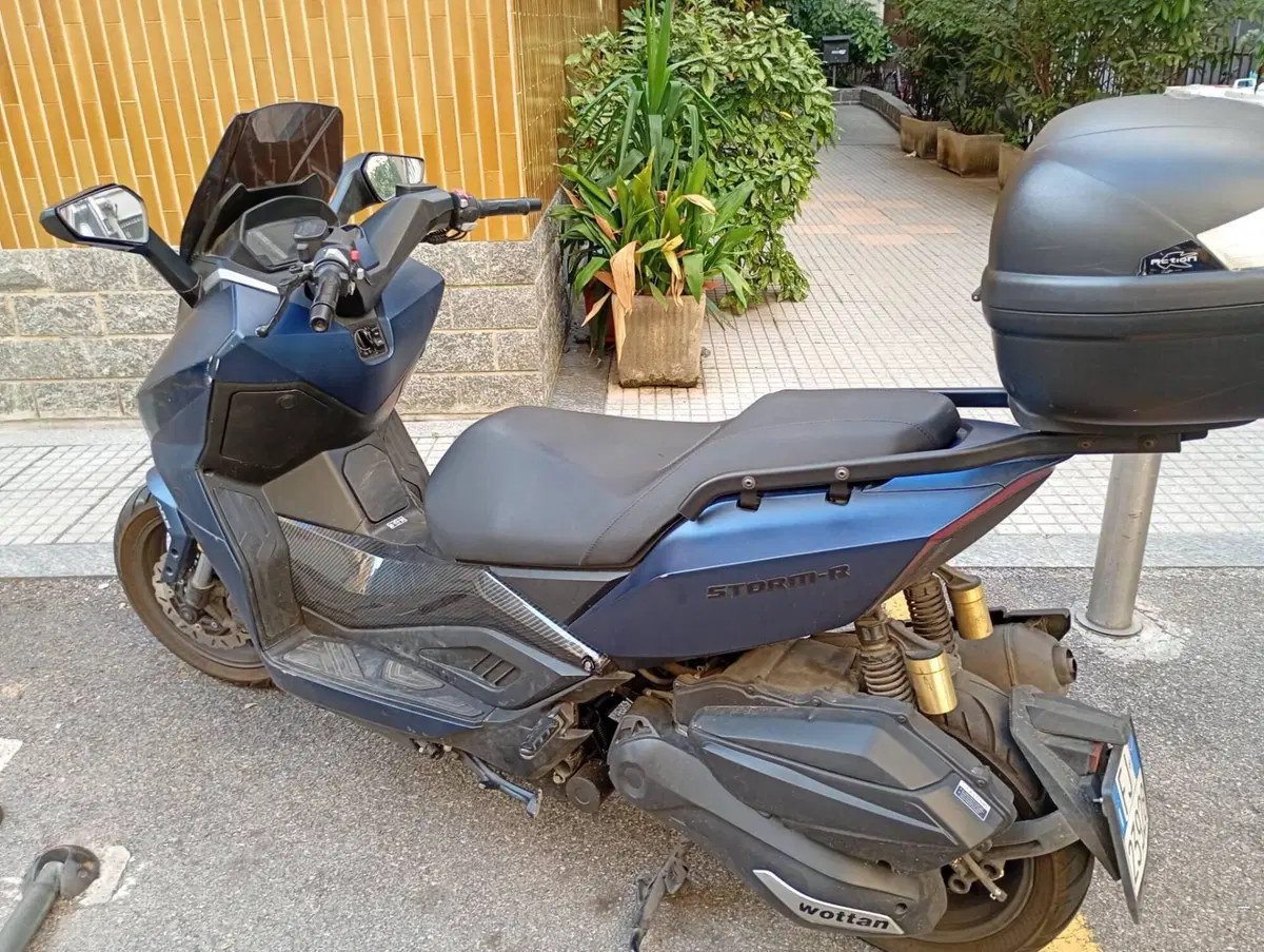 Wottan Motor Storm-R 300 (2023 - 25) (4)