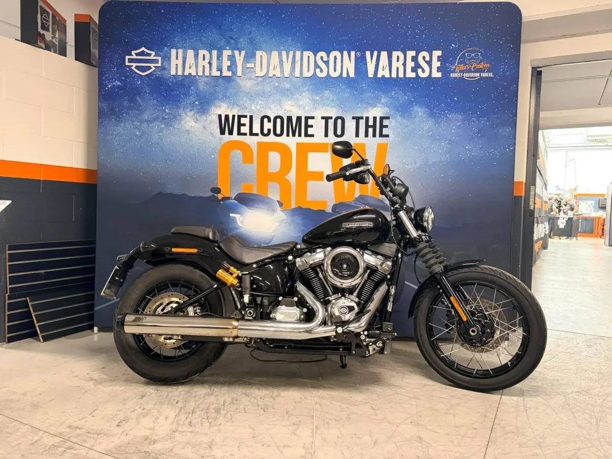 Harley-Davidson Street Bob 117 (2025 - 26)